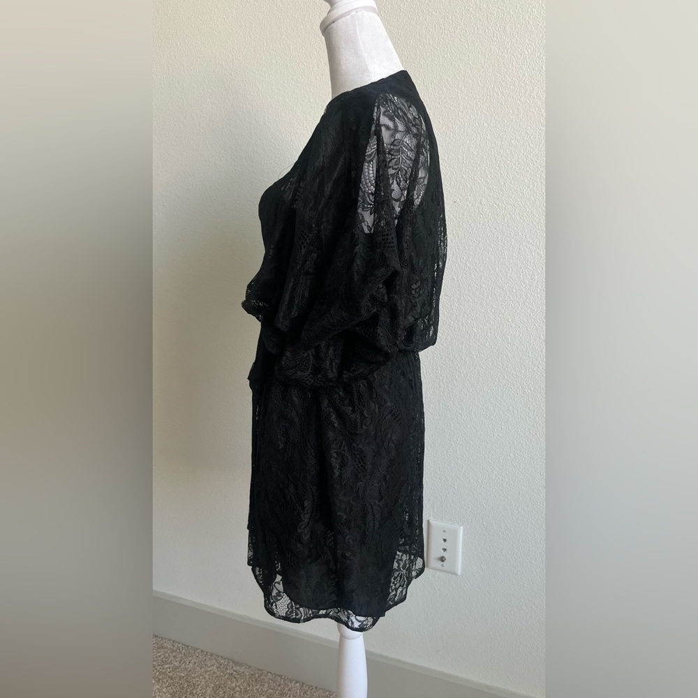 Lace mason dress with 100% silk lining - Picture 3 of 13